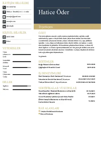 Beslenme Uzmanı Diyetisyen CV Örnekleri cv indir